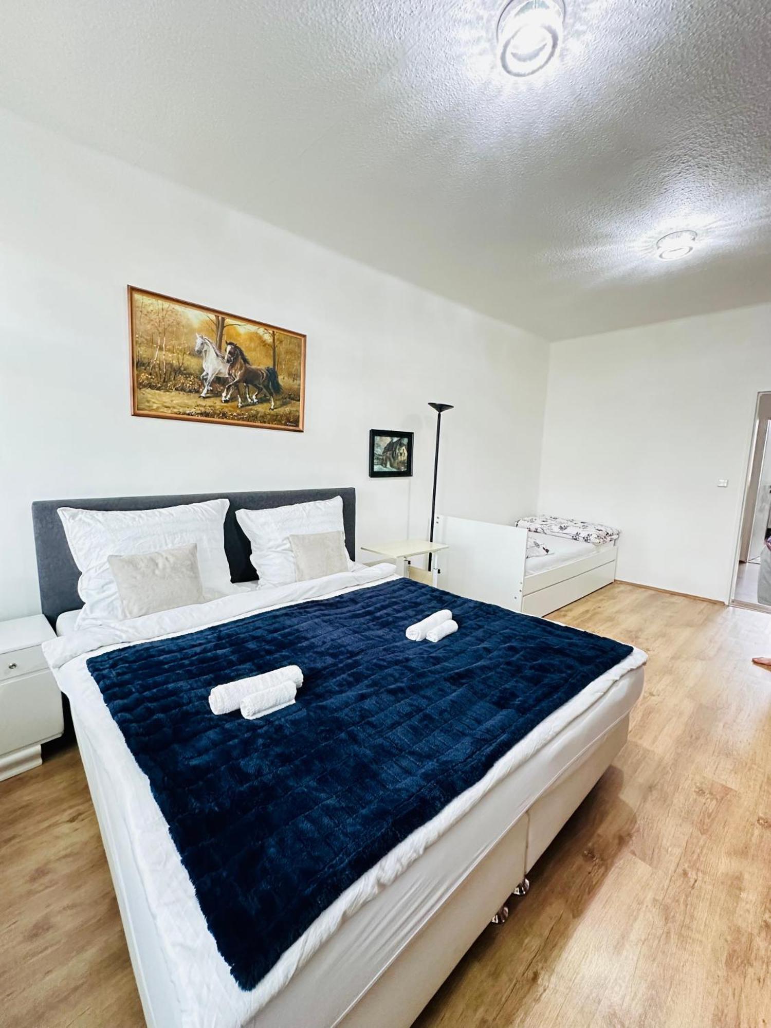 Kael Apartment Teplice Eksteriør bilde